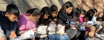 Promote Literacy Programs