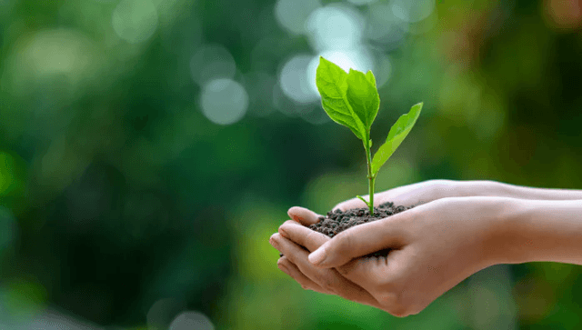 Environmental Conservation