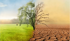 Climate Change Advocacy